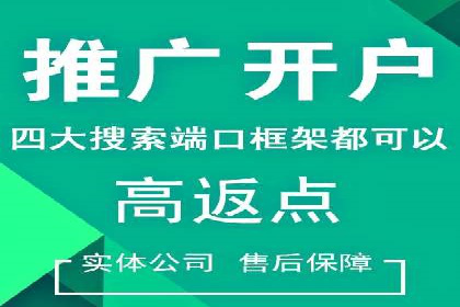 行业领先企业的SEM竞价推广策略揭秘